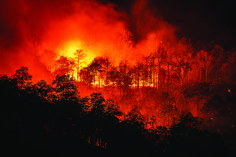 Forest fire wildfire at night time on the mountain with big smoke © iStockphoto